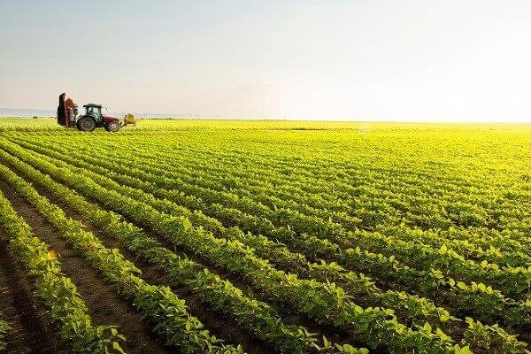 Família possuir mais de uma propriedade rural não afasta impenhorabilidade